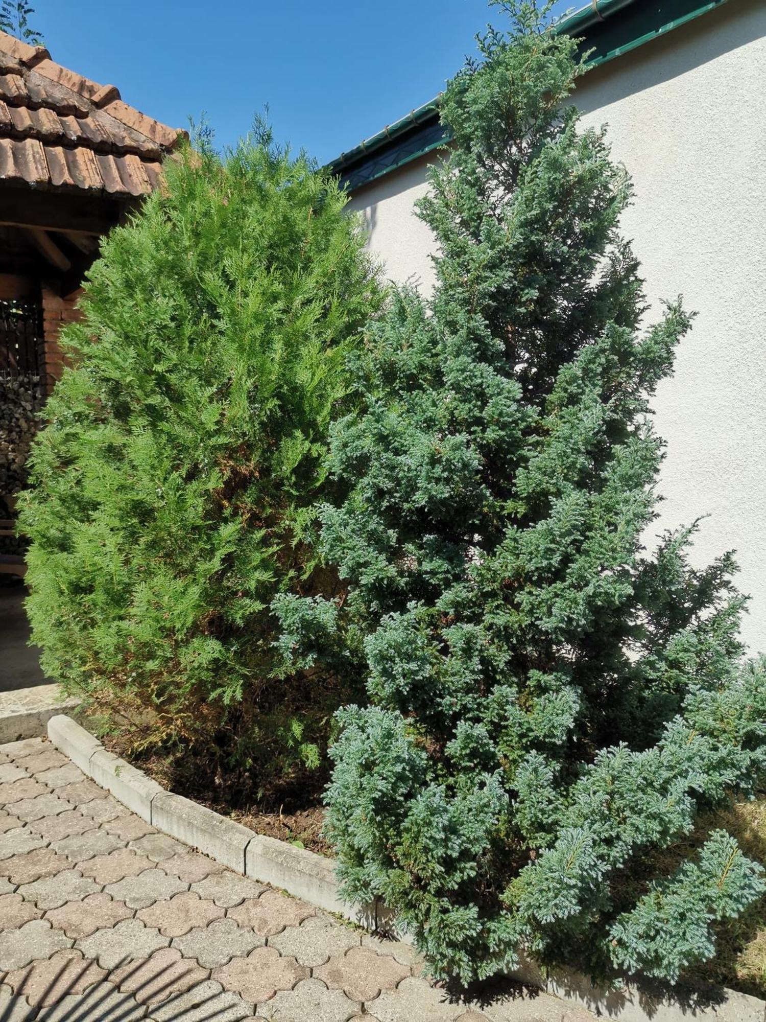 Villa Platinum Ckaltubo Kültér fotó